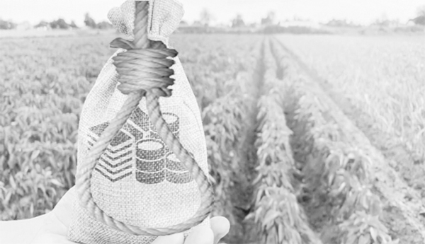 YSP-hangs-for-cooperative-sector