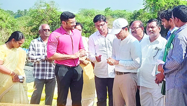 ఎట్టకేలకు ఆర్‌బికెల ద్వారా ధాన్యం కొనుగోలు