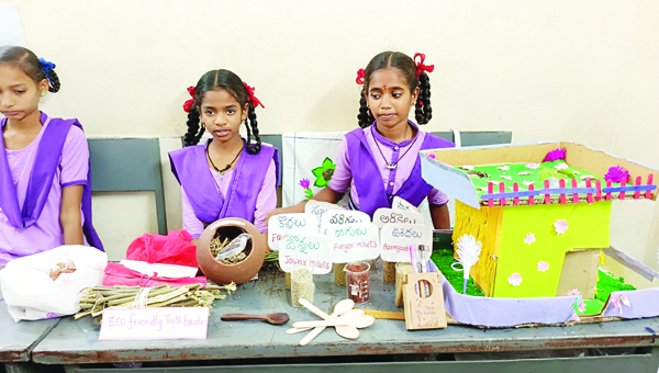 పాఠశాలల్లో విద్యా, వైజ్ఞానిక ప్రదర్శనలు