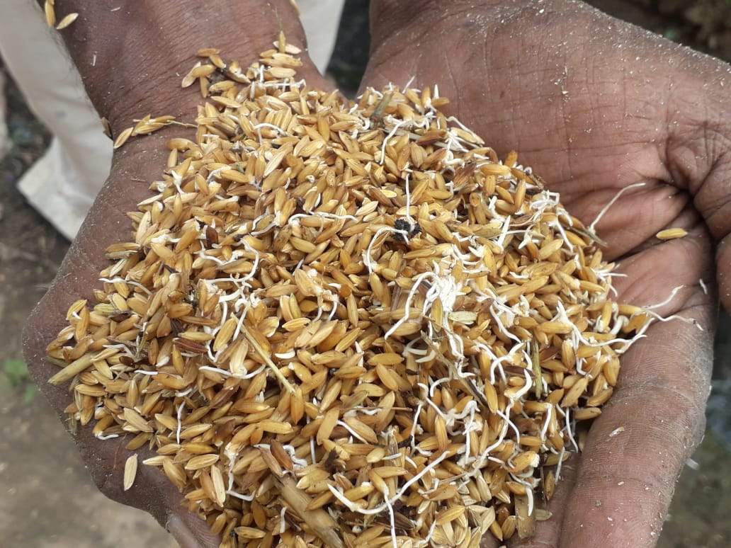 రైతుల ఆశలపై 'నీళ్లు'..!