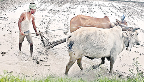 Evaru-varu-Tlugu-kavithalu