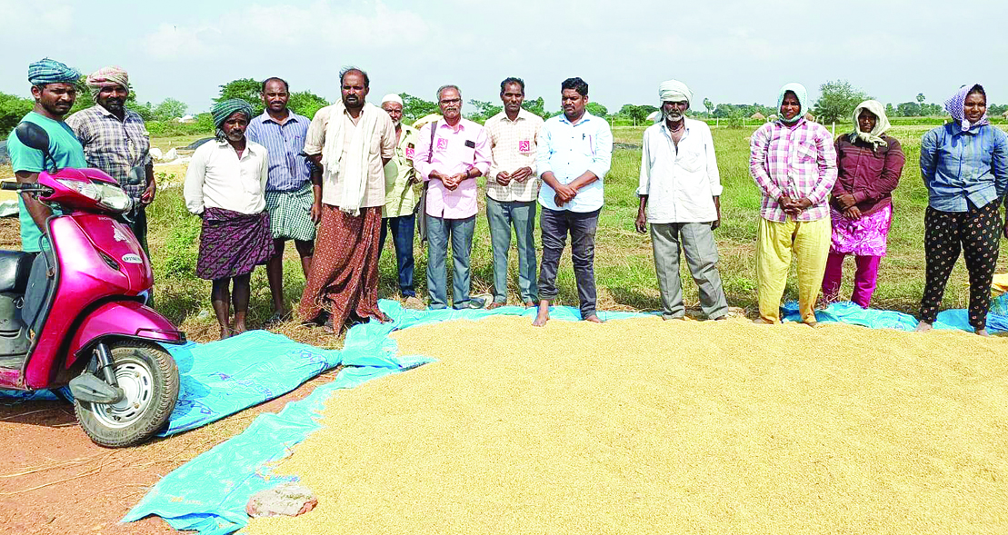 ధాన్యం కొనుగోలు లక్ష్యం కుదింపు దారుణం