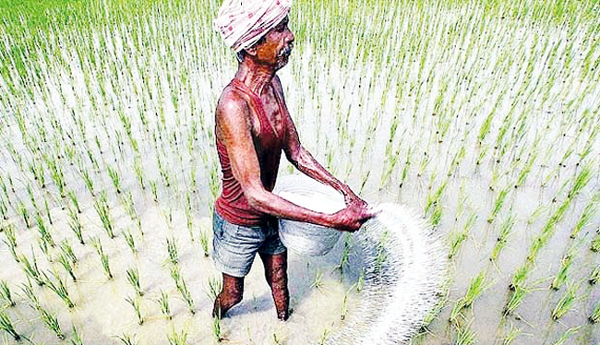 యూరియా కృత్రిమ కొరత