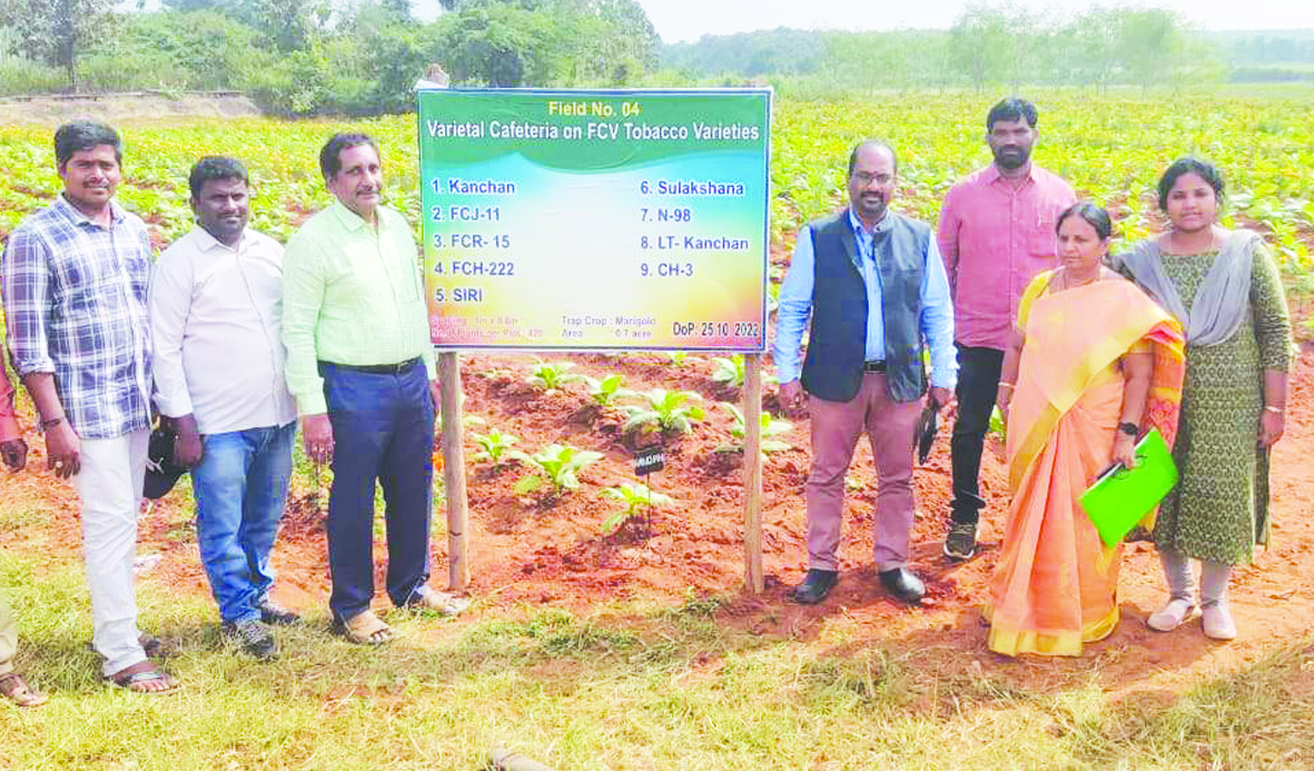 సమగ్ర వ్యవసాయ విధానంతో ఆర్థికాభివృద్ధి
