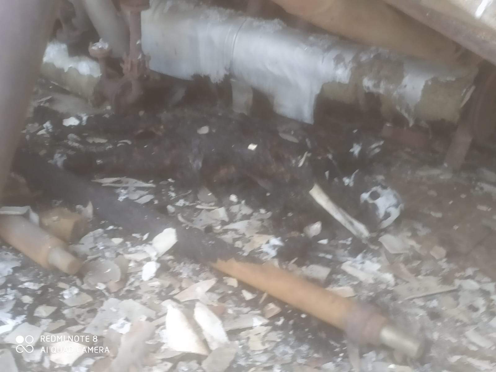 ఫుడ్‌ఫ్యాట్స్‌ ప్రమాదంలో.. కాలి బూడిదైన కార్మికుడు