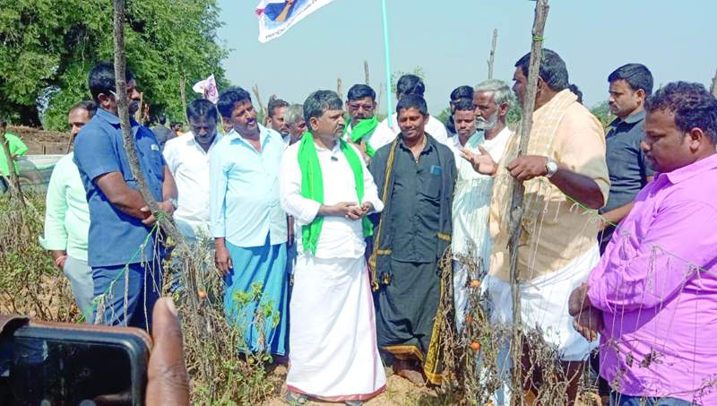   రైతులతో వివరాలు అడిగి తెలుసుకుంటున్న చిలకం మధుసూదన్‌రెడ్డి