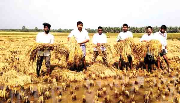 రైతులను తక్షణమే ఆదుకోవాలి