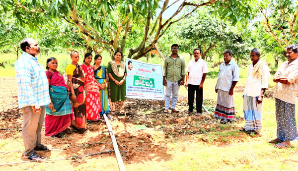 awareness-on-mango-cultivation