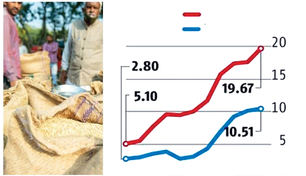 Rice-and-wheat-prices-are-on-the-rise