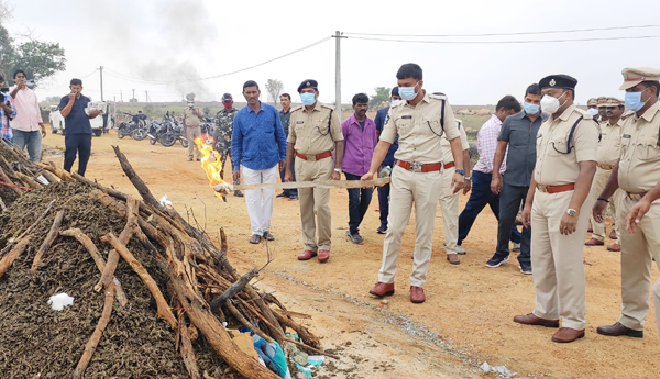 canabis-burning-in-rayachoti