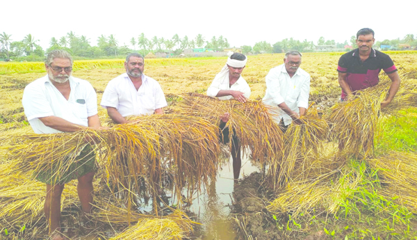 Will-the-storm-affected-farmers-get-relief