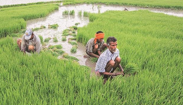 farmers-tension-at-cyclone-kharif-crops-