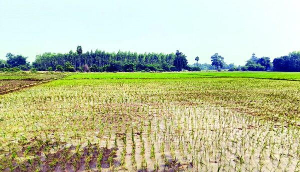 Acquisition-of-cheap-land
