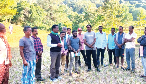  సిఎం జగన్‌ ప్రకటన చేయాలి