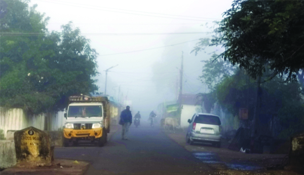 దట్టంగా కురుస్తున్న మంచు
