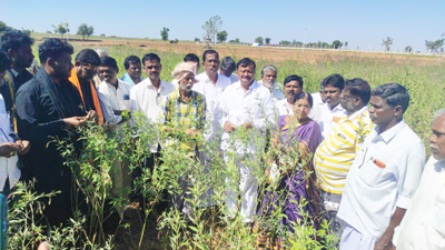 రైతులను ఆదుకోవాలి