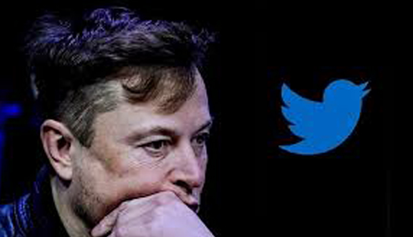 Elon-Musk-does-not-want-to-be-Twitter-chief-The-Tesla-chief-is-shocked-in-the-poll