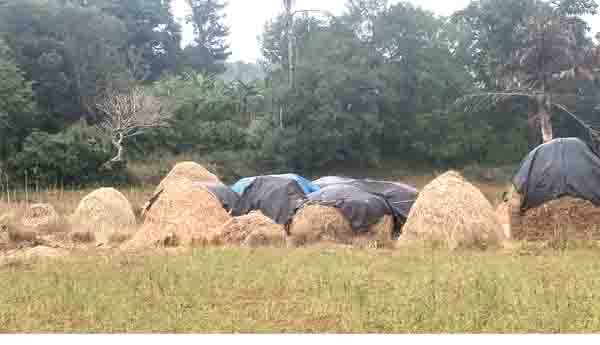 తుపాను ముప్పుతో ఆందోళనలో రైతులు