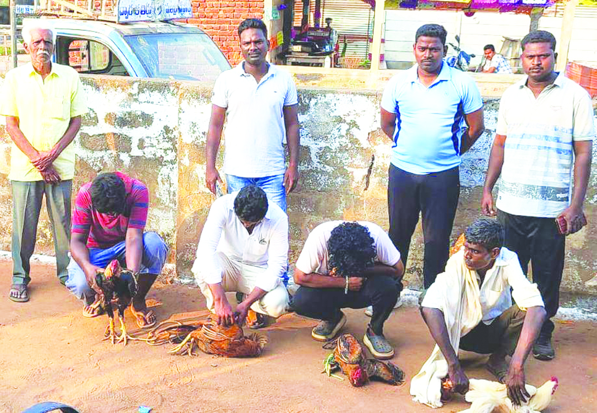 కోడిపందేల స్థావరాలపై దాడి