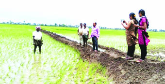 మా పేర్లు నమోదు చేయండయ్యా..!