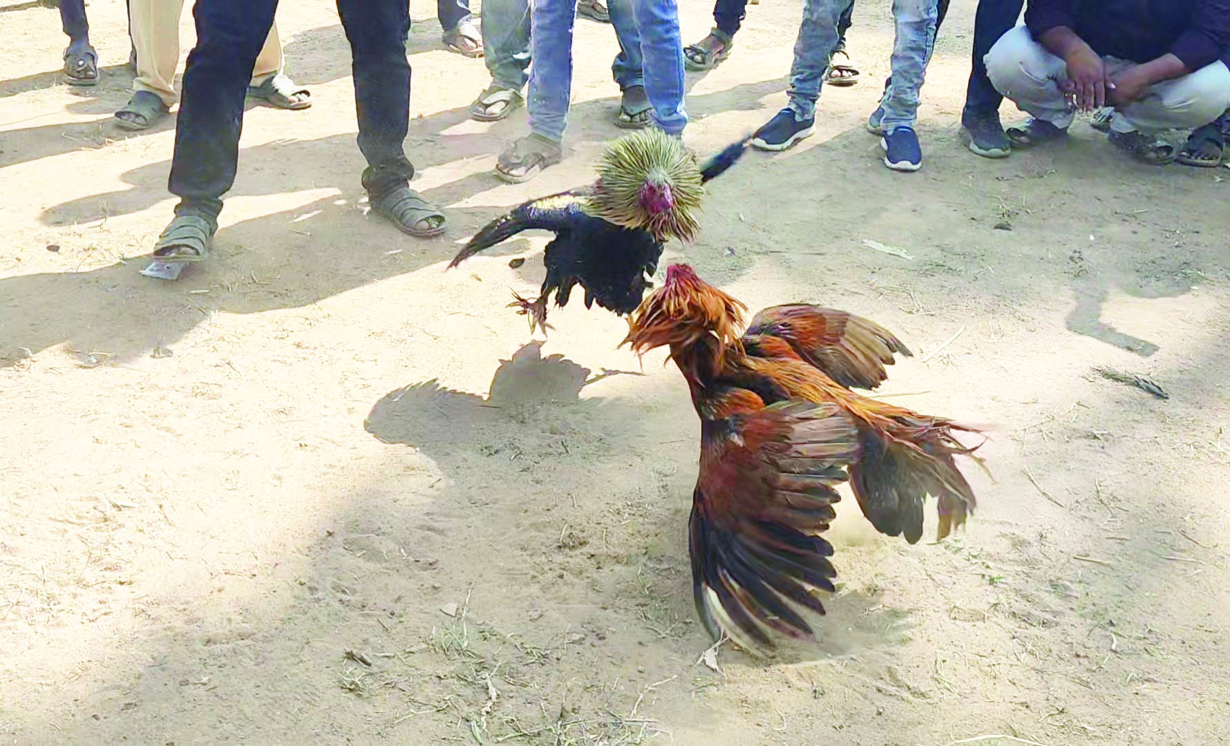 జోరు.. బేజారు..!