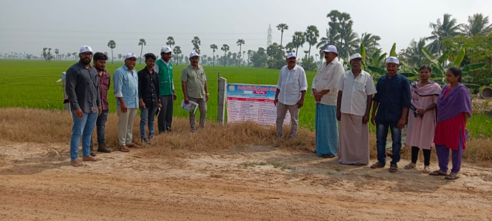 ఎరువులు అధిక మోతాదులో వాడరాదు