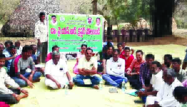 చిరుధాన్యాల సాగుపై దృష్టి సారించాలి