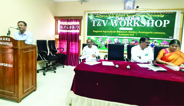 చిరుధాన్యాల ఉత్పత్తిపై ప్రత్యేక దృష్టి