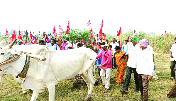 The-Dharmana-committee-is-to-loot-the-assigned-lands