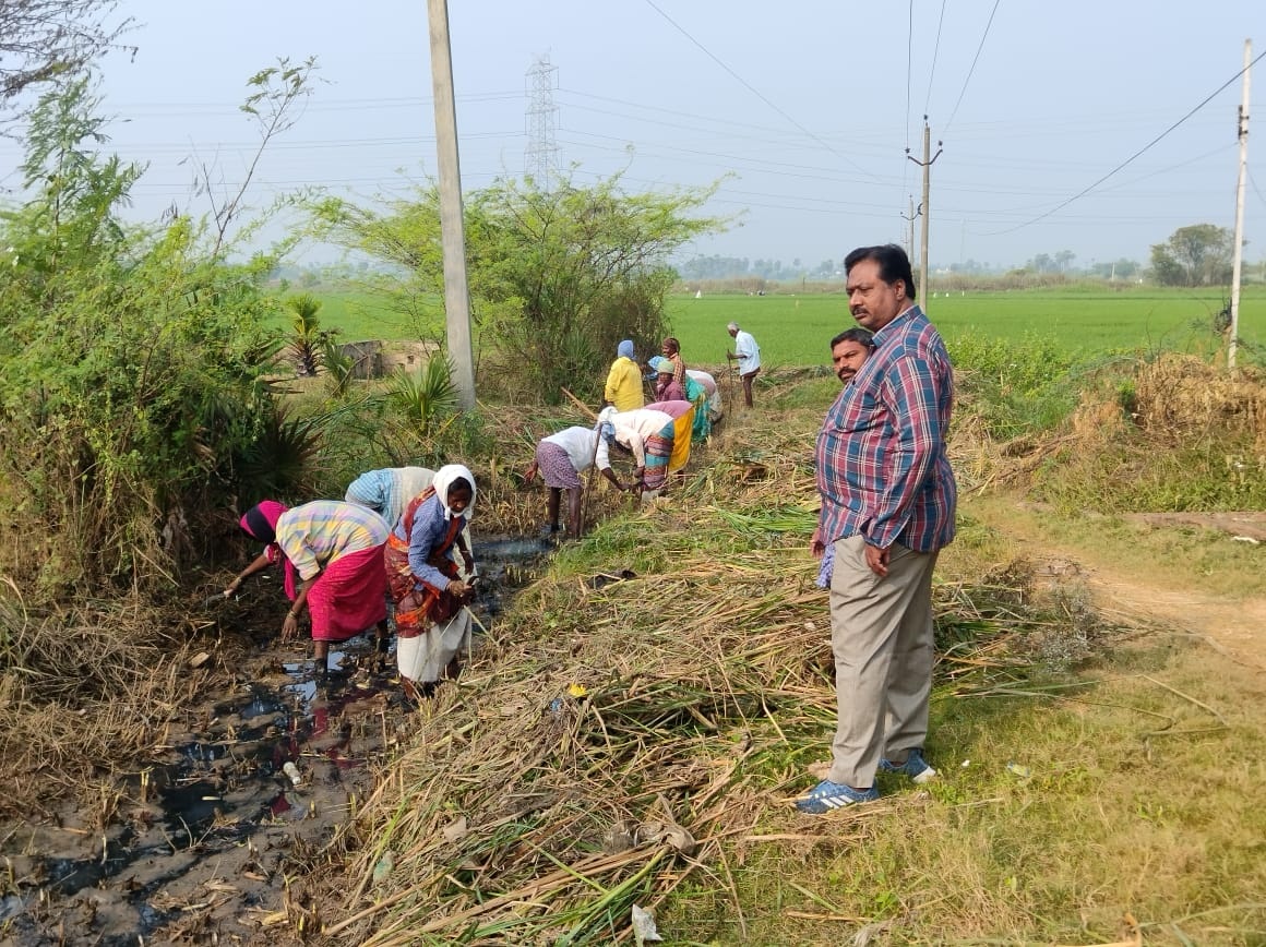 పూడికతీత పనులు పరిశీలన