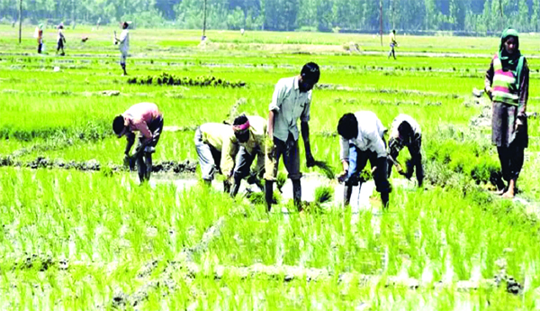 Sankranti-is-not-assured