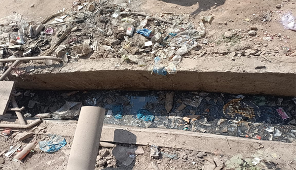 Mosquitoes-in-Vaddadi