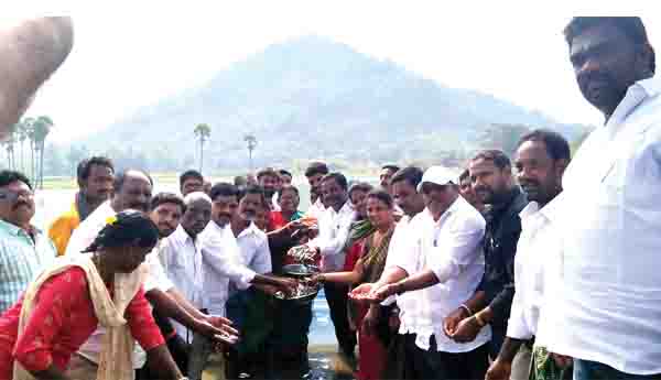 'తాండవ'లో చేప పిల్లలు విడుదల