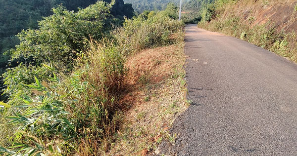 ఆదమరిస్తే అంతే సంగతులు..!