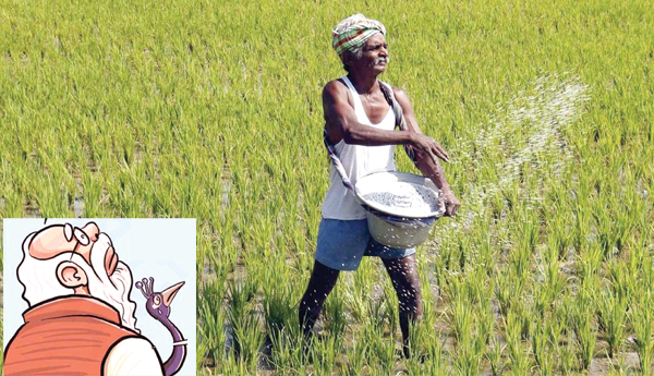 govt-policies-on-seed-supply-problems-in-modi-govt-article-by-rambhupal