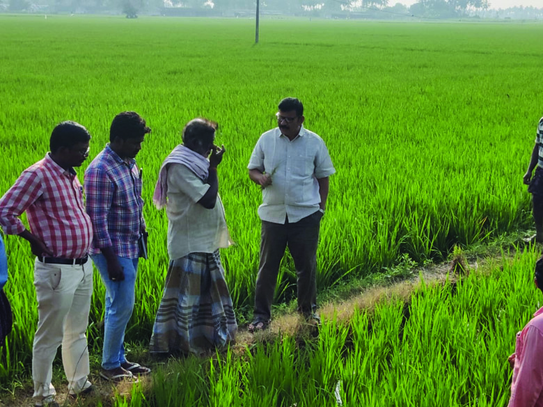 'నానో' యూరియాతో రైతులకు ఊరట