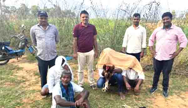  కోడి పందేల శిబిరాలపై దాడి