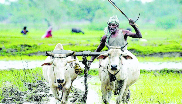Provisions-for-PM-Kisan