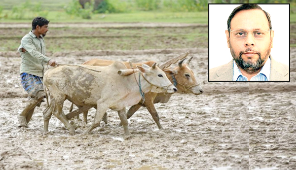 Farmers-need-help-Eminent-sociologist-Suryadevara-Mahendradev