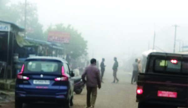 చలి పులి