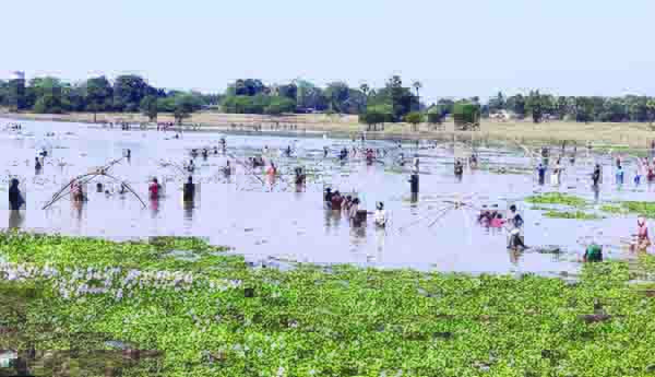  గిరి పల్లెల్లో జోరుగా చేపల షికారు