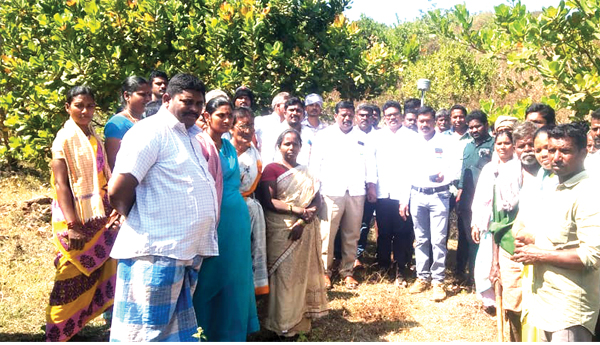 పోడు భూముల సర్వే ప్రారంభం