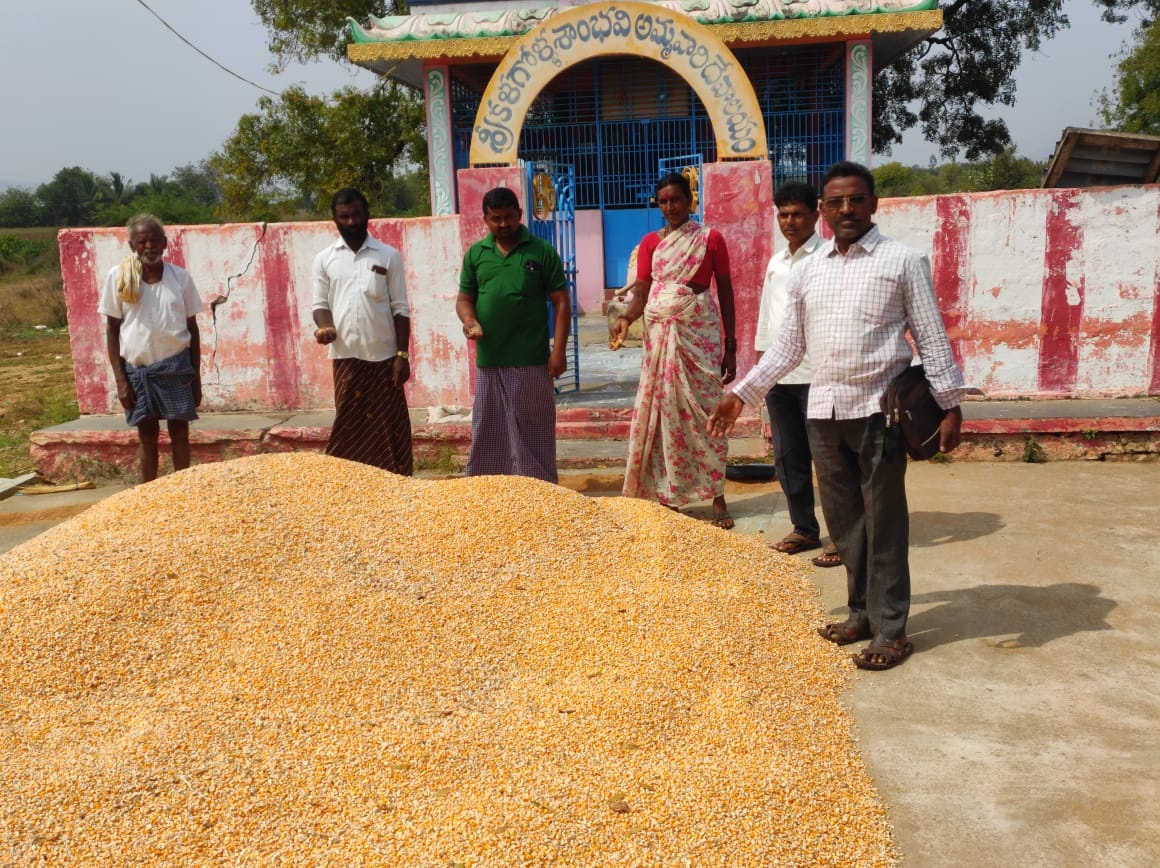 గిట్టుబాటు ధర కల్పించాలి