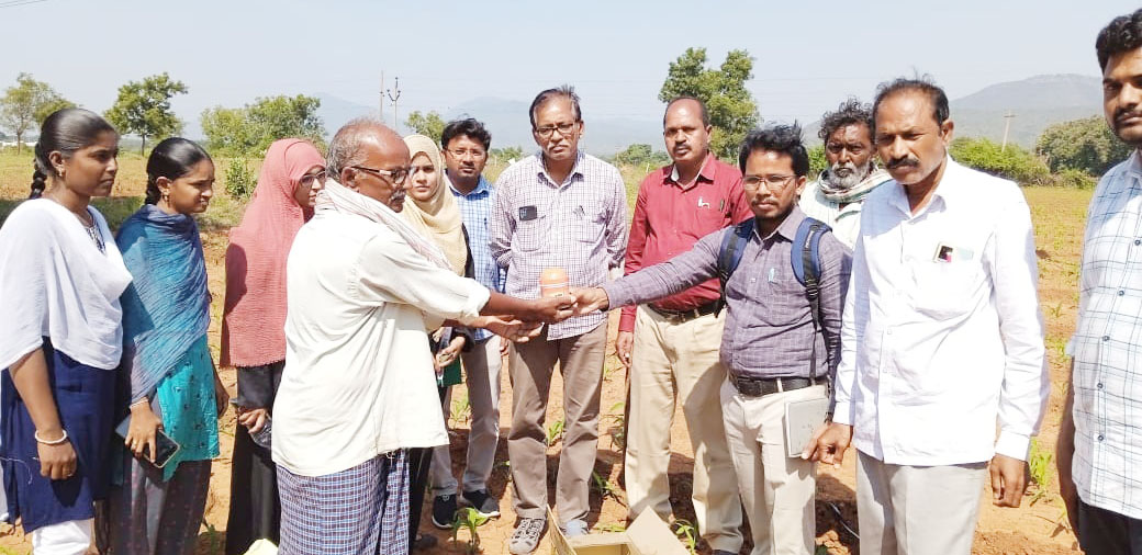 కత్తెర పురుగు నివారణపై అవగాహన
