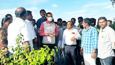పరిశీలించిన కలెక్టర్‌