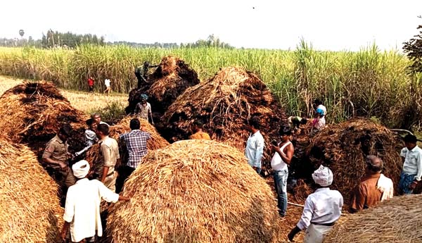 వరి కుప్పలు దగ్ధం