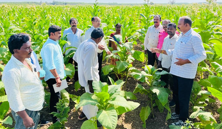 పోగాకు రైతులకు అవగాహన