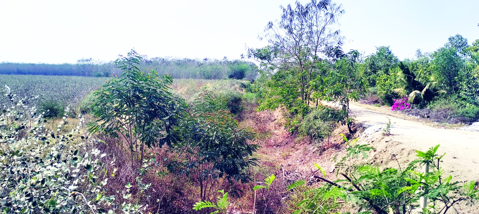 ఆయకట్టు భూములకు సాగునీరు అందేనా?