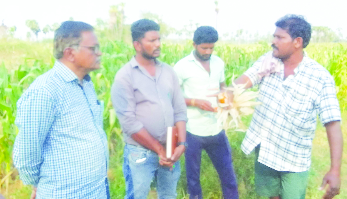 కౌలురైతుకు న్యాయం చేస్తాం