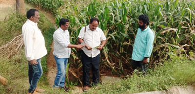 పరిశీలన